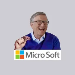 MSFT666