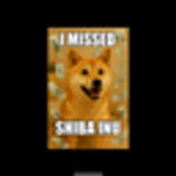 MSI
