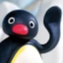 NOOT