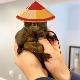 PEINUT