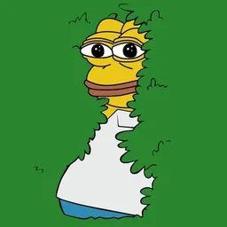 HOMER 