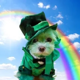 Patrick the fortunate dog token logo