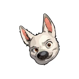 Bolt