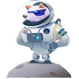 DOGEZHI