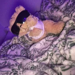 ted