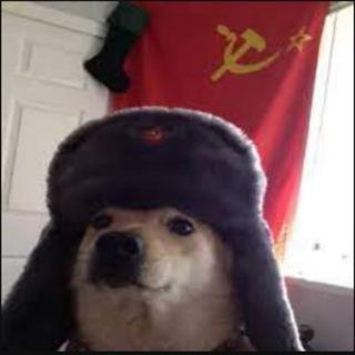 ZSRR