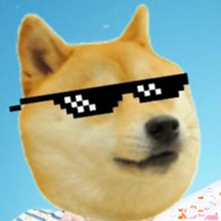 SnoopDoge