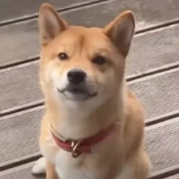 kenji