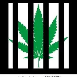 FREEDOM & SLAVERY