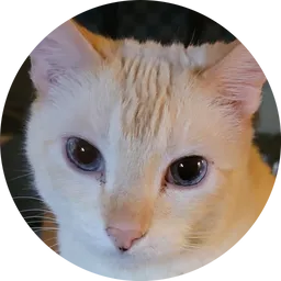 MEEKEE