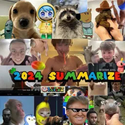SUMMARIZE 