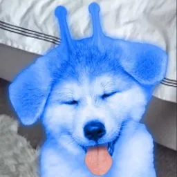 blorp