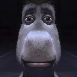 donkey 