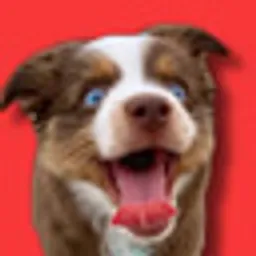 EMBER