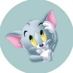 BabyTomcat