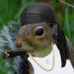 NIGGANUT