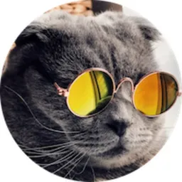 $MEOW