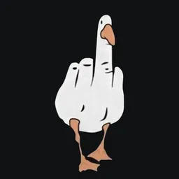 duckyou