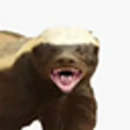BADGER