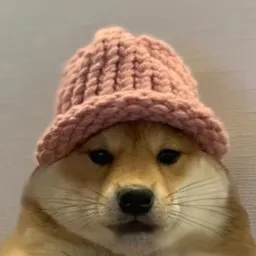GIF