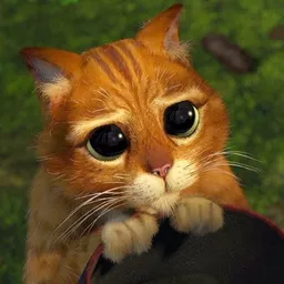 Pusscat