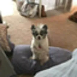 Bobby