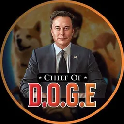 D.O.G.E
