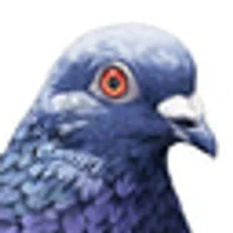 PTERM
