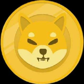 SHIBA INU GOLD (SHIBG) coin contract is ...