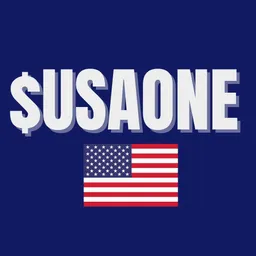 USAONE