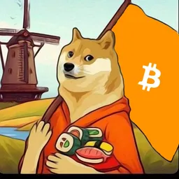 $DOGE 