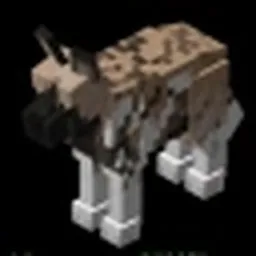WILD DOG