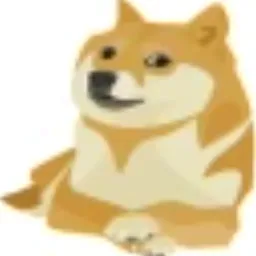 404DOGE