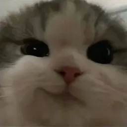 GRIN