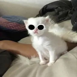 BENNY