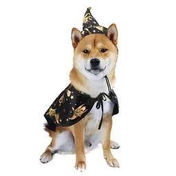 SeekDog