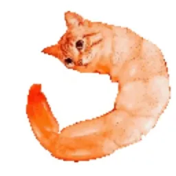 DERBOR