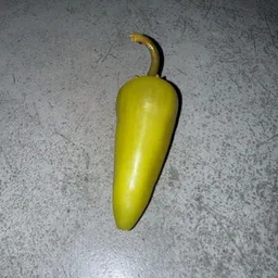 chilli