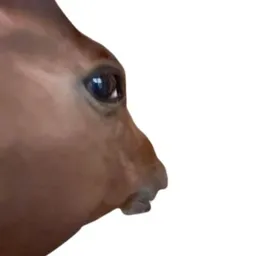 HONSE