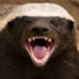 BADGER