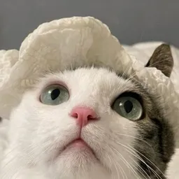 김호섭