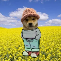CHILLWIF