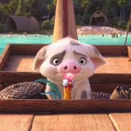 Pua