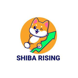 Shiba Rising 