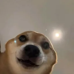 WINNIE