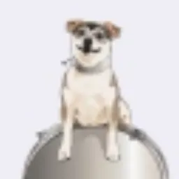 LAIKA