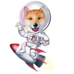 SHIBAS