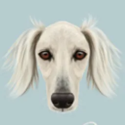 Borzoi