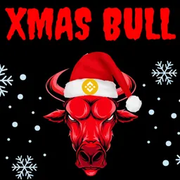 X BULL