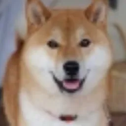TAIKI